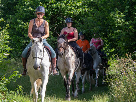 Entre ciel et terre - Balades et randonnées à cheval