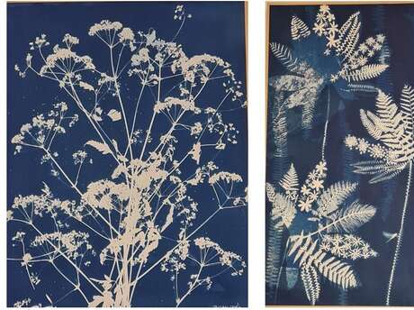 Françoise Barugola, l’art du cyanotype