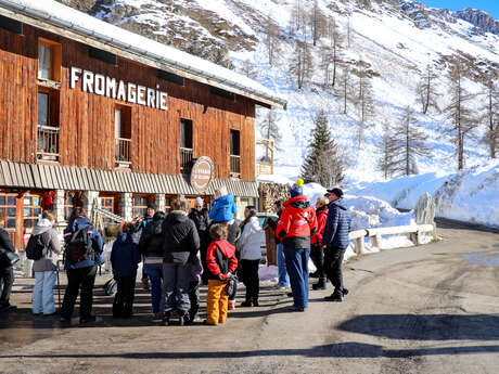 Visita alla fattoria