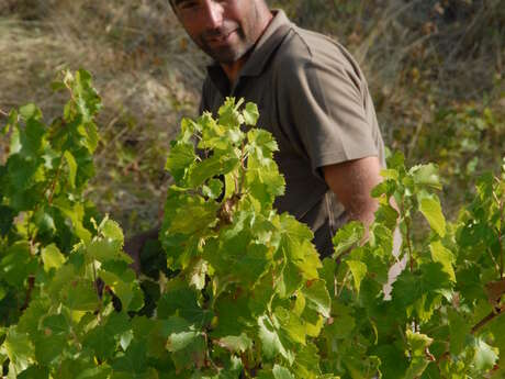 Domäne Combe Julière