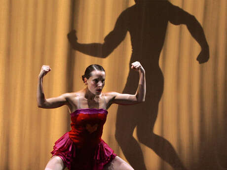 L’Amoureux de Madame Muscle