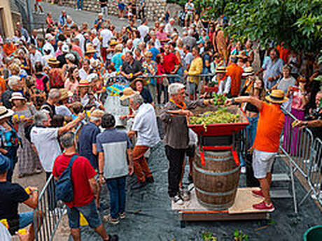Fête des Vendanges du Safranier