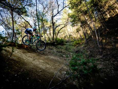 VTT n°14 - Enduro des Amarines VTT n°14 - Enduro des Amarines