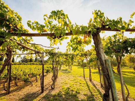 Mas of the Tourelles