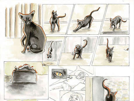 Atelier BD