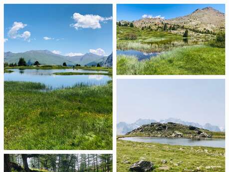 Hiking - Nordic walking