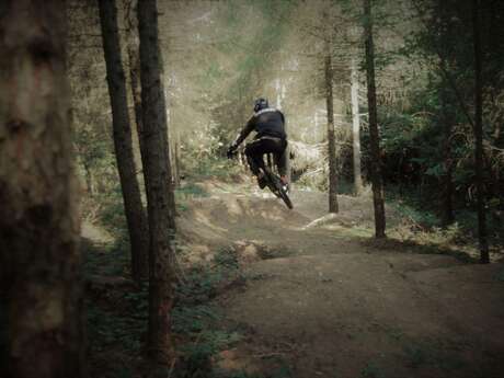 Bike Park - VTT de descente