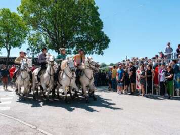 Feria - Festival d’abrivados