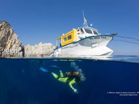 New Open Water - PADI scuba diving course at Aqualonde