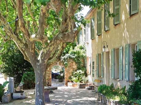 Alloggio al Domaine de Siouvette "Le Pigeonnier