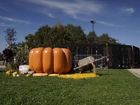 Courge et saveurs d’automne