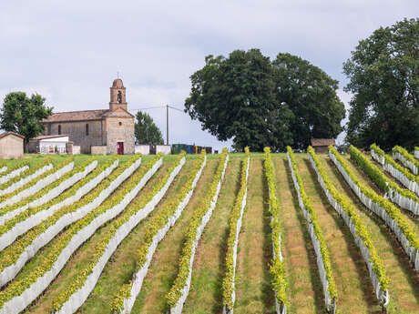 Les cinq Chapelles de Durfort Lacapelette