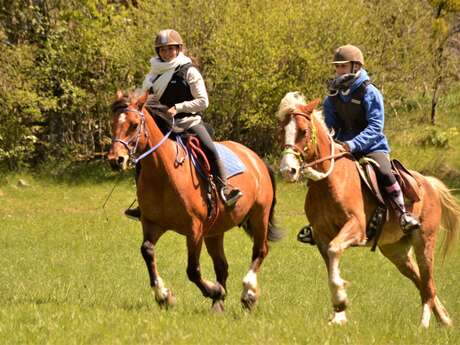 Stage "Equitation, Nature"