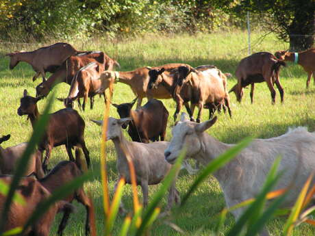 Ferme Rognard Biagui
