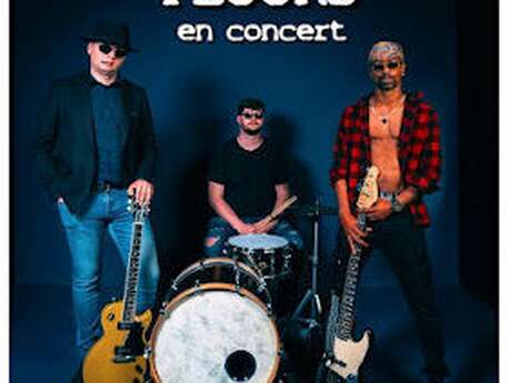 Concert "The Plooks " - Hall Blues Club