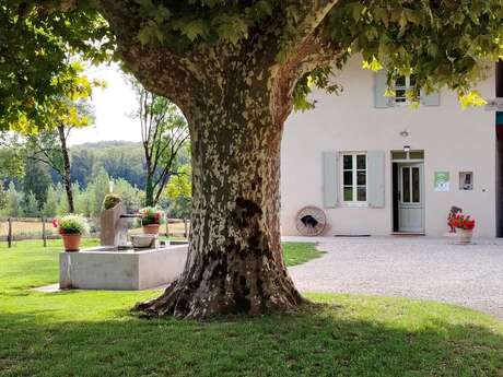 Gîte "Le Vieux Chêne