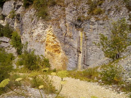 Cerin quarry, ENS de l'Ain