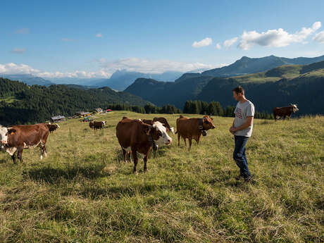 La Ferme du Caly La Ferme du Caly