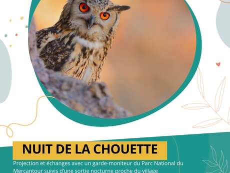 « La nuit de la chouette »