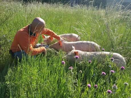 Une ferme en Ventoux