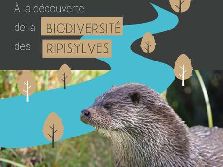 [EXPOSITION] À la découverte de la biodiversité des ripisylves