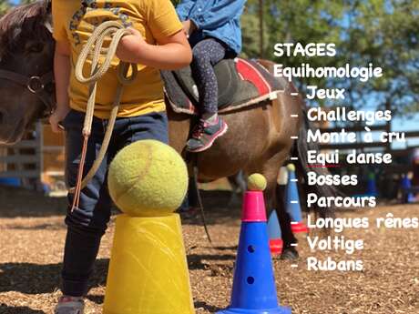 Jeux d'eau et challenges à la Ferme du Lucky Horse