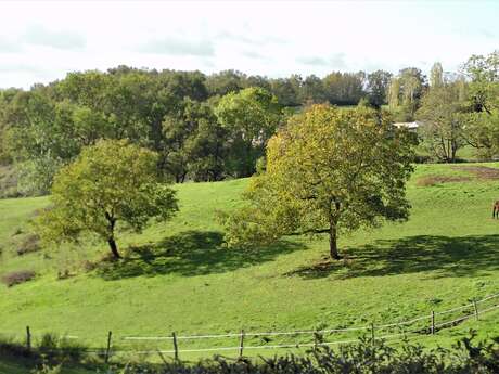 Sur le Chemin de Montavents- Givarlais