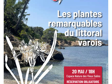 Conférence - Les plantes remarquables du littoral varois
