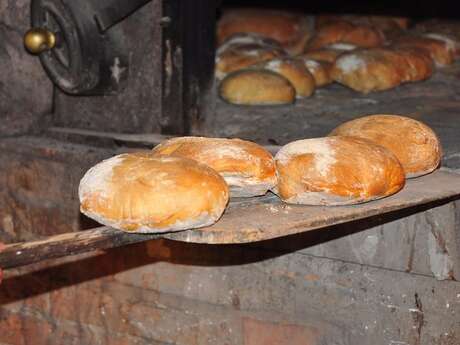 The Bread Festival