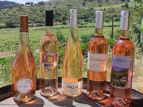 Festa di fine vendemmia al Domaine La Tourraque