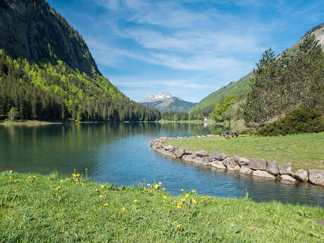 Itinéraire pédestre : du Lac de Montriond à la Cascade d’Ardent