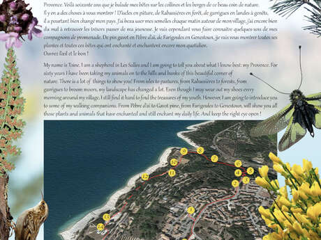 Toine's natural trail