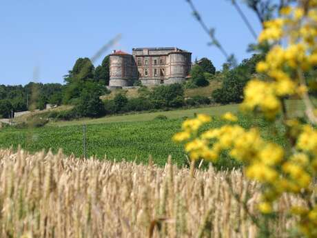 Visites guidées du château de La Chaux Montgros