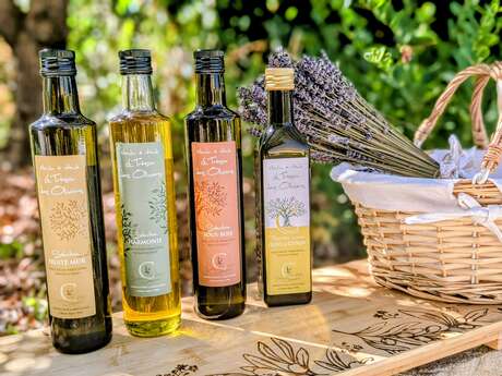 Visit the oil mill "le trésor des oliviers"