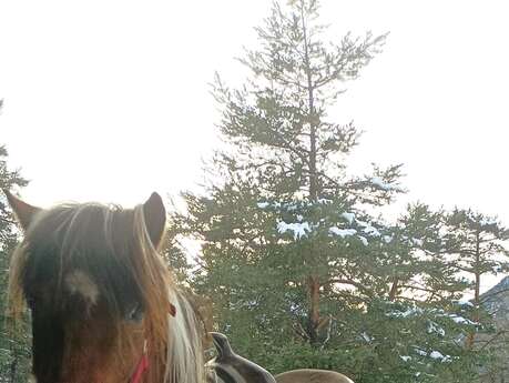 Balade à poney au bord de la Clarée - Ferme équestre de la Clarée