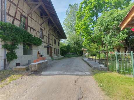 Walk - Between the Veyle and Irance rivers