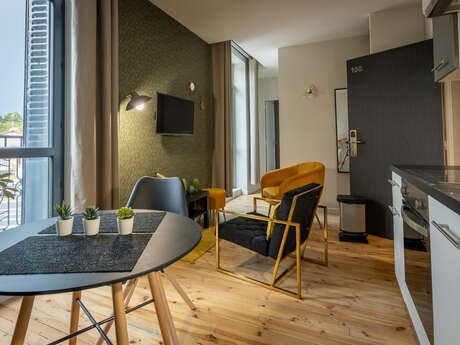 Meublé Puy de la Vache - 100