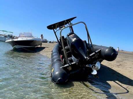 Sea trip and banc du Bûcheron (5h) departing from La Flotte - TEX