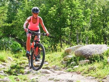 Mountain Bike Discovery - Evolution 2