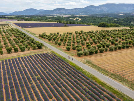 Gravel n°G3 - Tour des villages du plateau de Valensole
