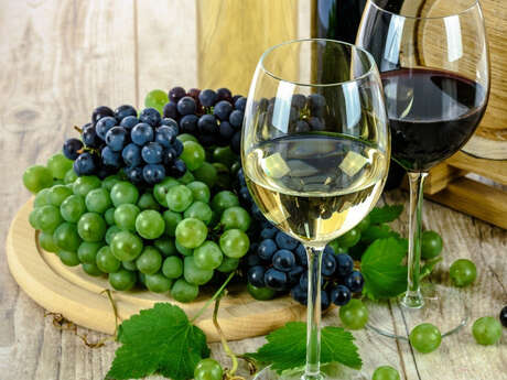 Salon des Vins