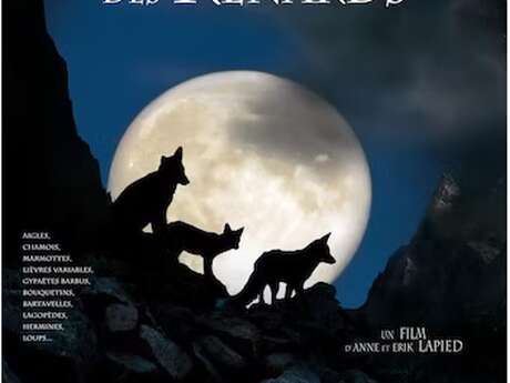 Le Clan des Renards