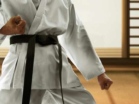 Stage d’arts martiaux