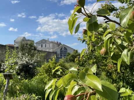 Les Universités de la Biodiversité : A la découverte du Potager du Roy