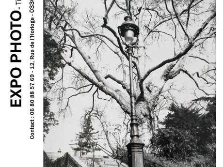 Exposition photographique : Mes Sentinelles