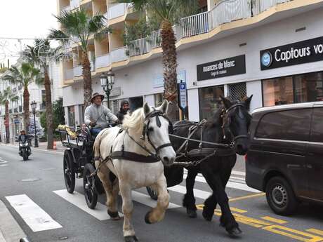 Carriage rides