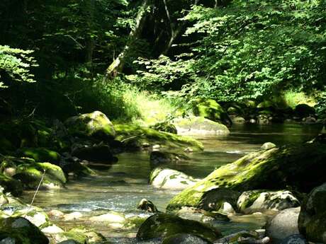 Fishing trail, Le Brevon at Bellevaux