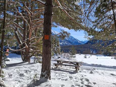 La Combe Saint Martin en raquettes