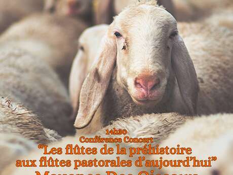 Conférence concert : les flûtes de la préhistoire aux flûtes pastorales d''aujourd'hui