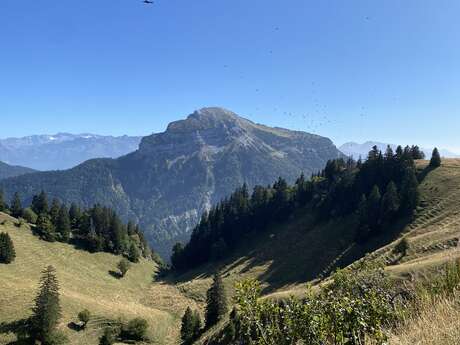 8 - Le Charmant Som en trail